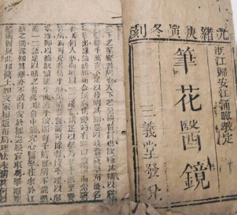 中医 笔花医镜大全