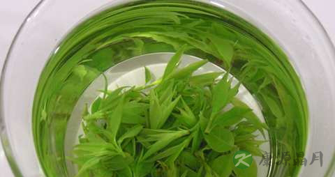 喝绿茶伤胃吗