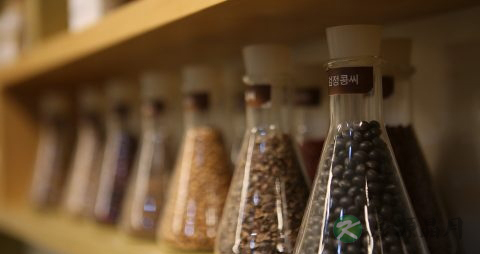 肠胃炎最佳治疗方法