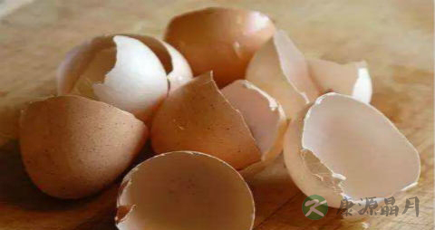 鸡蛋壳能治胃酸吗