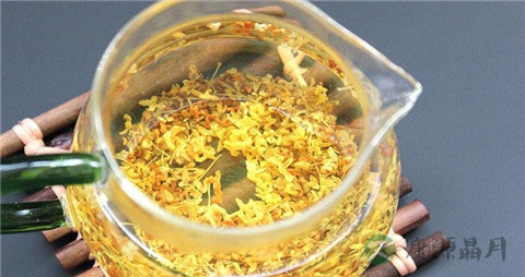 什么花茶养胃护胃