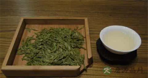 喝白茶对胃好吗