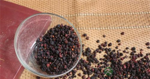 五味子泡茶能治胃病吗