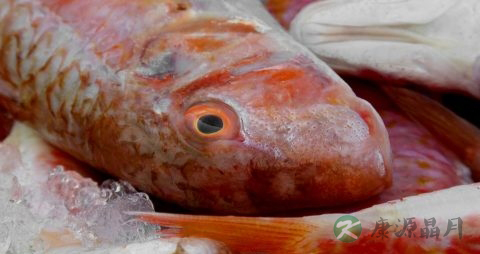 食道癌放疗后吃什么食物
