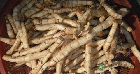 贲门癌术后化疗饮食食谱