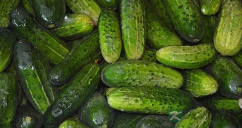 西红柿什么人不宜食用