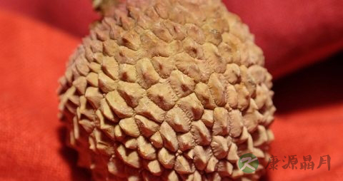夏天西瓜吃多了好吗