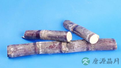 甘蔗不能和什么一起吃