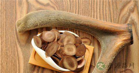 哪些人不能吃鹿茸
