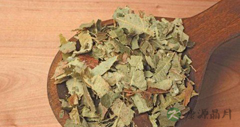 淫羊藿的副作用