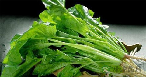 白菜和胡萝卜能一起吃吗