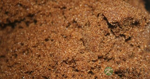 豆浆中毒症状