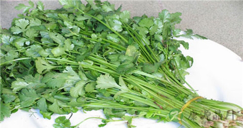 香菜吃多了好吗