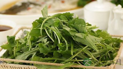 哪些野菜不能吃 这些野菜可致死