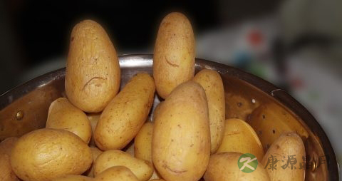 土豆长牙剜掉能吃吗