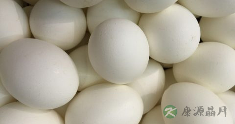 宝宝为什么不能吃蛋白