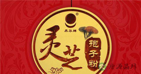 哪些人不能吃灵芝孢子粉