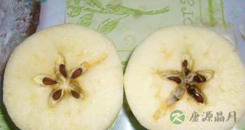 苹果核可以吃吗