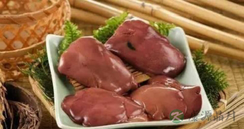 动物肝脏不能吃吗