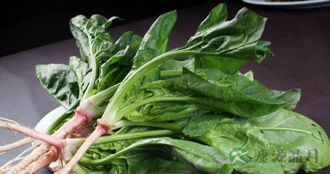 菠菜吃多了好吗