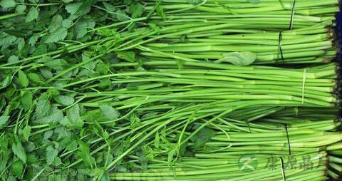 吃什么可以祛除湿气