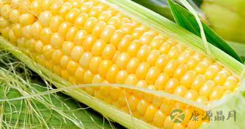 吃什么可以让头发浓密 吃什么可以让头发浓密