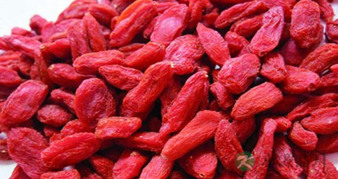 骨折的人吃什么补品