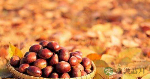 栗子吃多了会怎么样