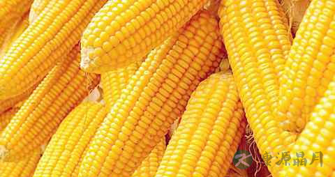 孩子吃什么增强记忆力 孩子吃什么增强记忆力