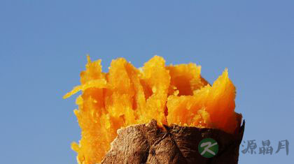 小小红薯营养高 小小红薯营养高