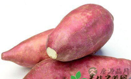 夏季养生食谱有哪些 夏季养生食谱有哪些