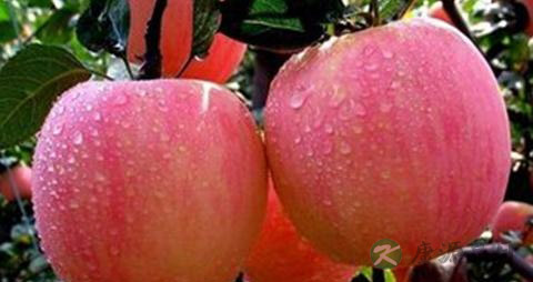 吃什么对头发比较好 吃什么对头发比较好