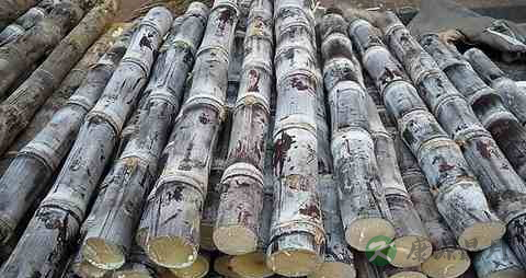 感冒嗓子疼吃点什么 感冒嗓子疼吃点什么