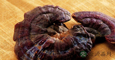 血脂高吃些什么 血脂高吃些什么