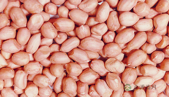 记忆力下降吃什么食物