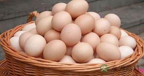 吃什么发育快 吃什么发育快