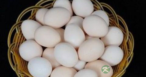 落头发吃什么 落头发吃什么