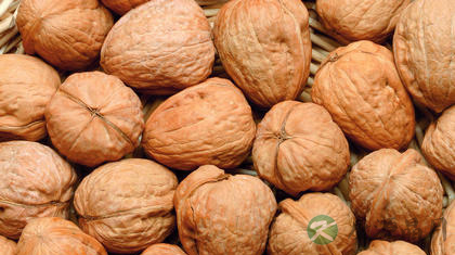 核桃吃多了会怎样