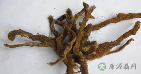 强筋壮骨药 强筋壮骨药