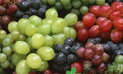 这样搭配食物小心拉肚子