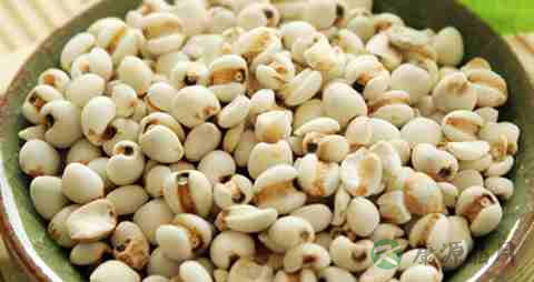 脂溢性皮炎脱发症状