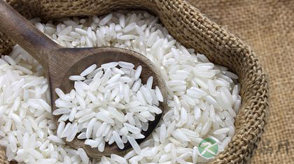 大米怎么保存不生虫子 大米怎么保存不生虫子