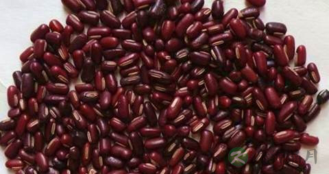 体内湿气重有哪些表现 体内湿气重有哪些表现