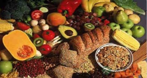 促进蛋白质吸收的食物