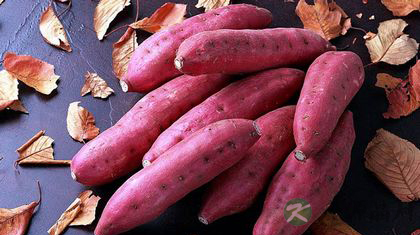 红薯什么时候吃对身体最好？