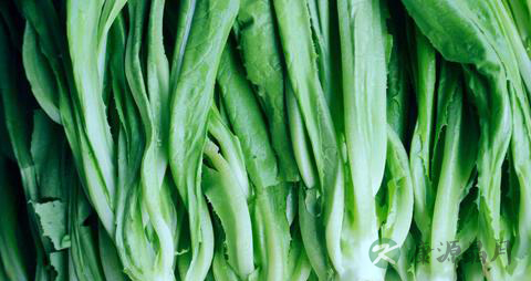 油麦菜怎么做好吃