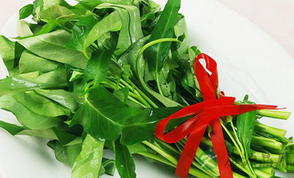 介绍通心菜的营养价值及功效