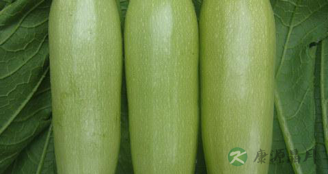 吃西葫芦有什么好处
