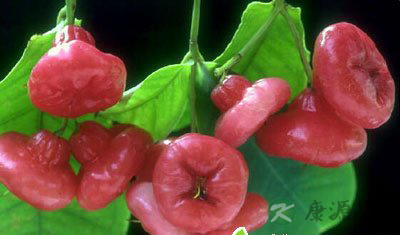 常吃十四大水果 滋补功效赛良药 常吃十四大水果 滋补功效赛良药