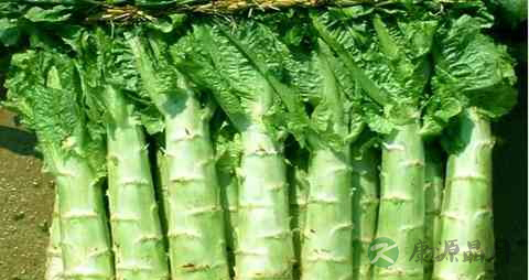 什么蔬菜能通便 什么蔬菜能通便